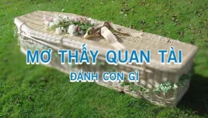 Mơ thấy quan tài đánh con gì dễ trúng