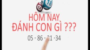 Nhiều cược thủ quan tâm hôm nay đánh con gì 