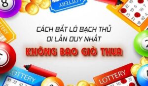 Tổng hợp thông tin tổng quát về bạc thủ lô 