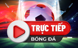 Cakhia10.tv kênh trực tiếp bóng đá hoành tráng nhất Việt Nam