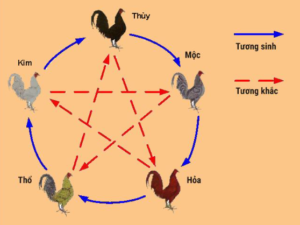 Coi ngày đá gà theo quy luật ngũ hành