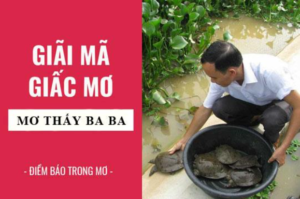 Điềm báo trong giấc mơ thấy ba ba